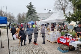 Добрич - изложение - Пчеломания