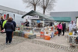 Добрич - изложение - Пчеломания