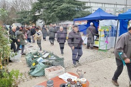 Добрич - изложение - Пчеломания