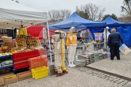 Добрич - изложение - Пчеломания