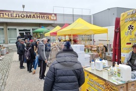 Добрич - изложение - Пчеломания