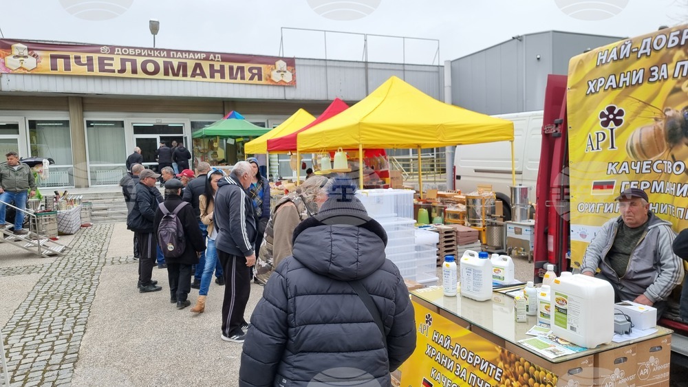 Добрич - изложение - Пчеломания