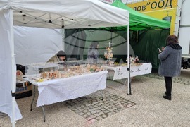 Добрич - изложение - Пчеломания