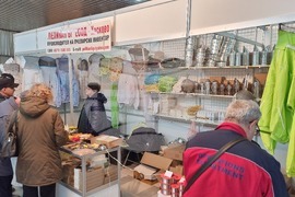 Добрич - изложение - Пчеломания