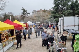 Добрич - изложение - Пчеломания