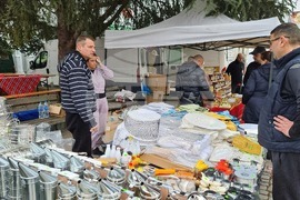 Добрич - изложение - Пчеломания