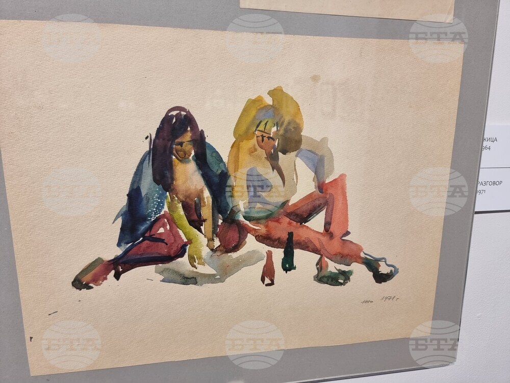 Стара Загора - изложба - Димо Генов