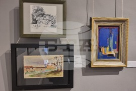 Стара Загора - изложба - Димо Генов