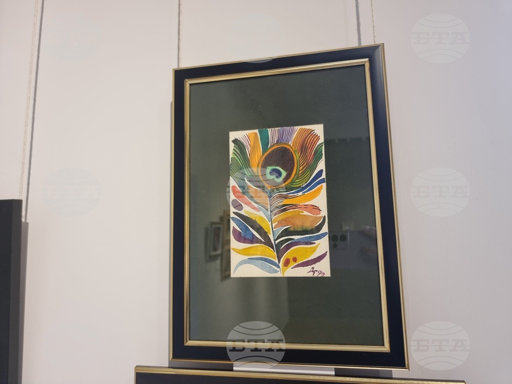 Стара Загора - изложба - Димо Генов