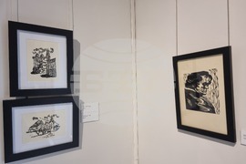 Стара Загора - изложба - Димо Генов