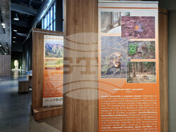 Петрич - природни паркове - изложба