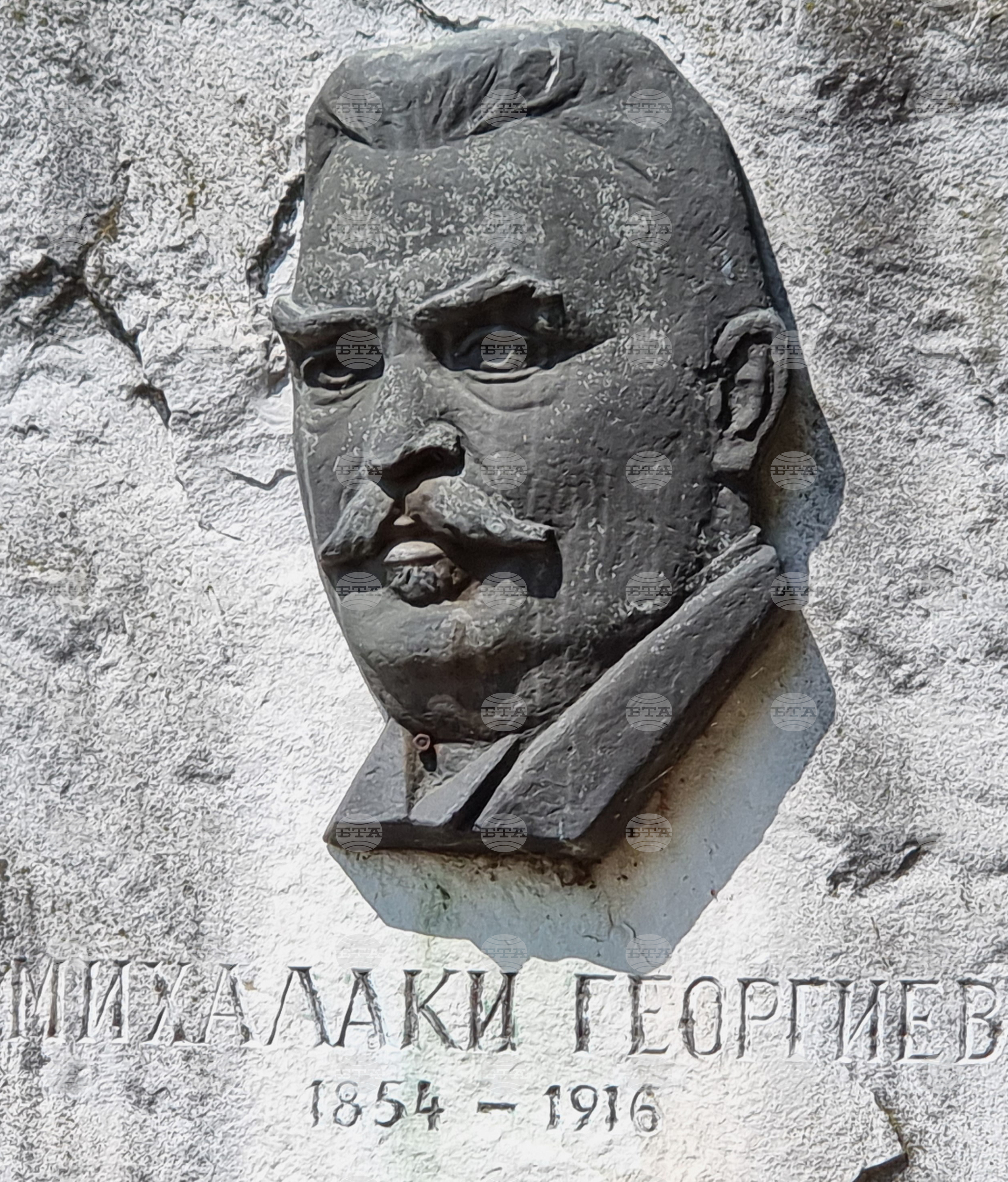 Видин - Михалаки Георгиев - среща - разговор