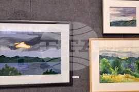 Търговище - изложба - Светла Чакърова