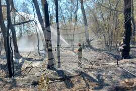 Село Полски градец - пожар - гасене