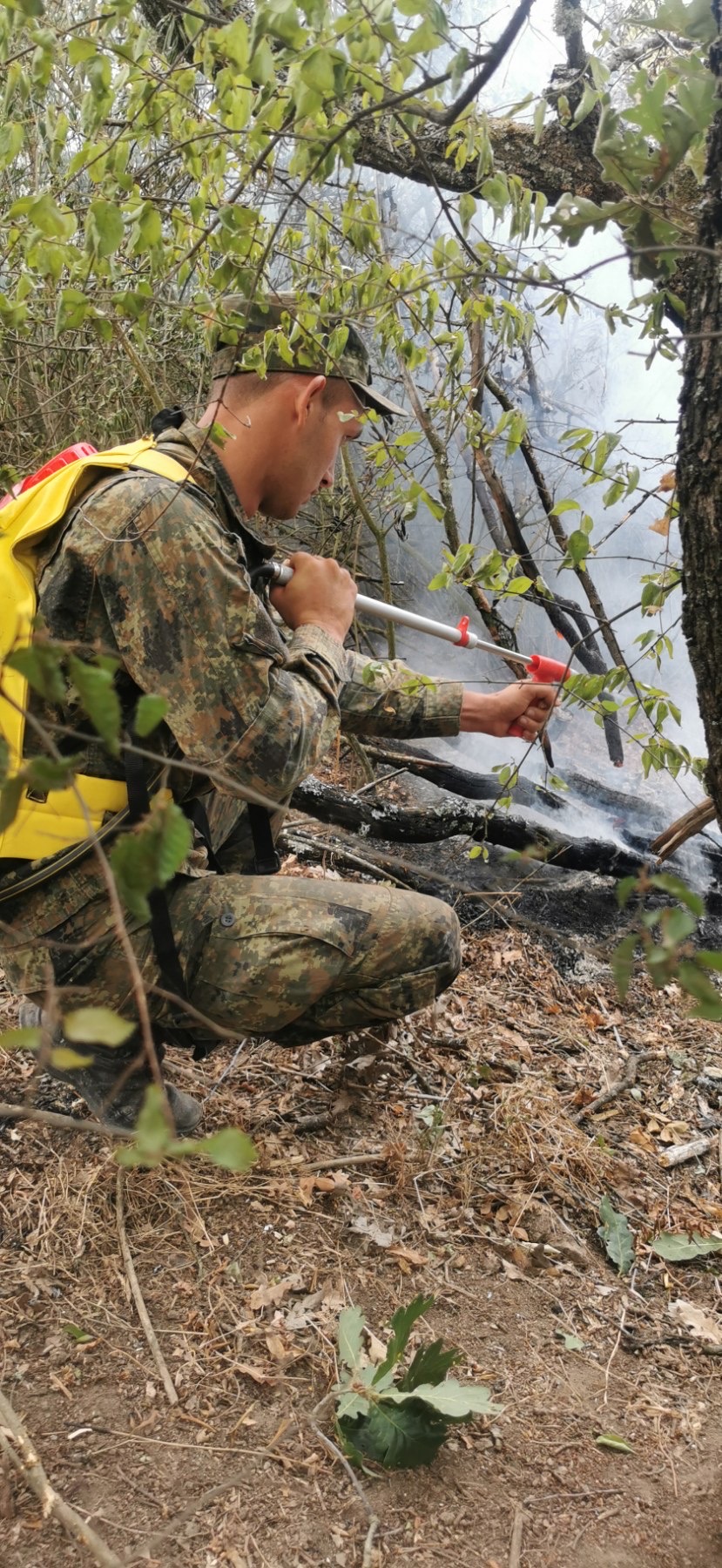 Село Полски градец - пожар - гасене