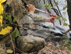 Село Полски градец - пожар - гасене 