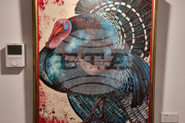 Република Северна Македония - изложба - Цветелина Русалиева