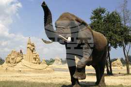 Бургас - фестивал на пясъчните фигури - слонове