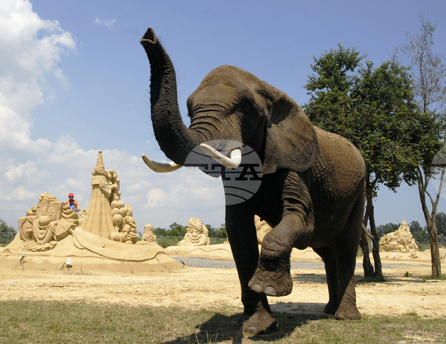 Бургас - фестивал на пясъчните фигури - слонове