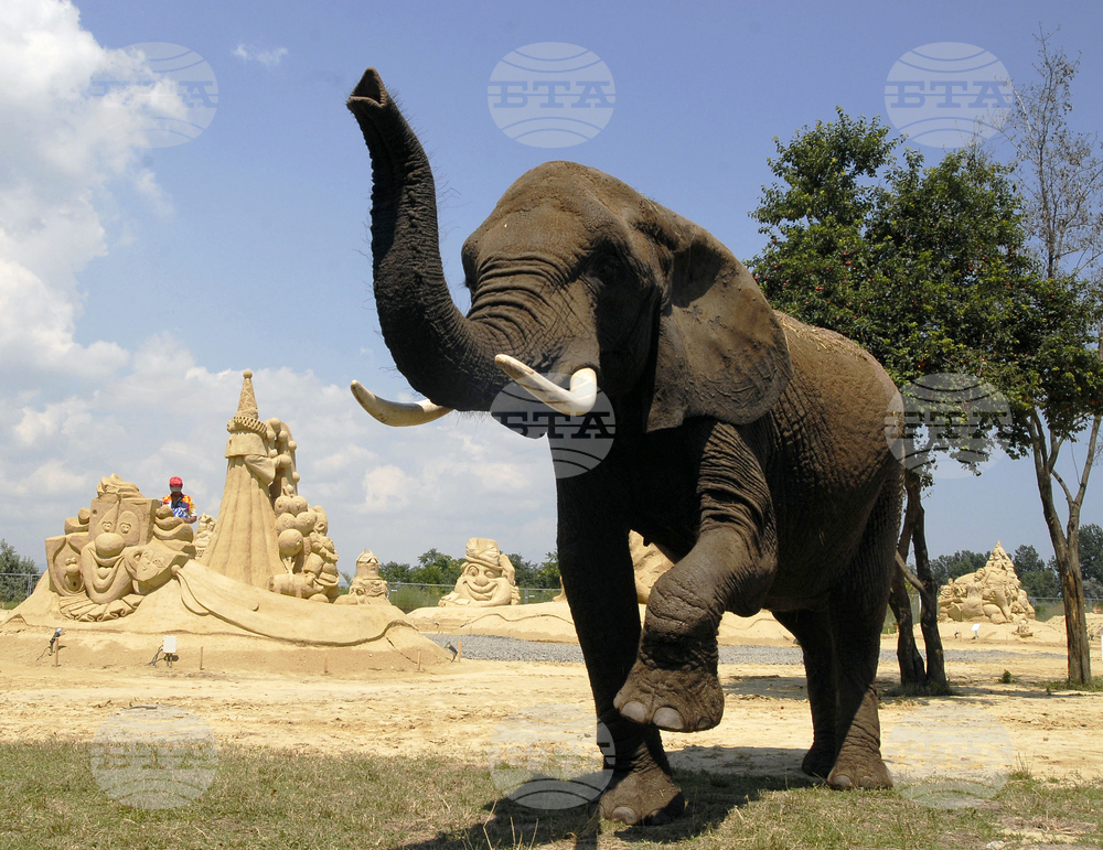 Бургас - фестивал на пясъчните фигури - слонове