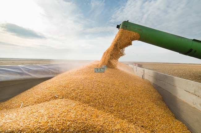 EC Proposes Distribution of EUR 100 Mln Support for Farmers in Frontline States Hit by Ukrainian Grain Imports, Allocates EUR 9.77 Mln to Bulgaria