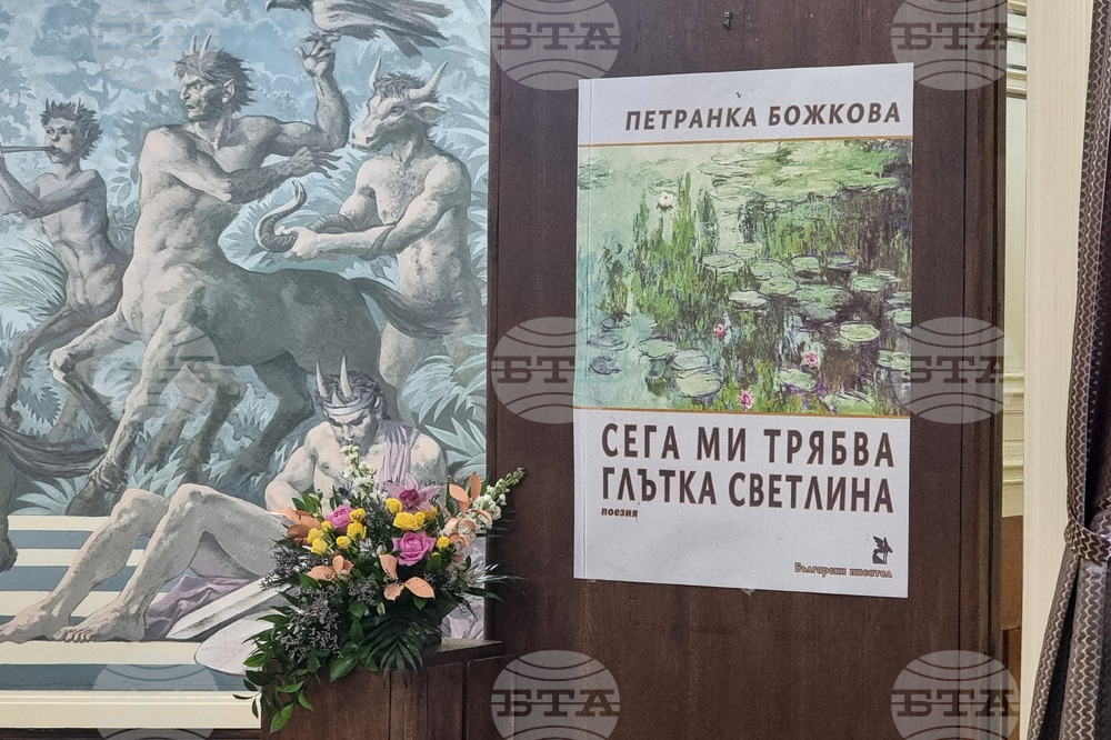 Добрич - книга - представяне