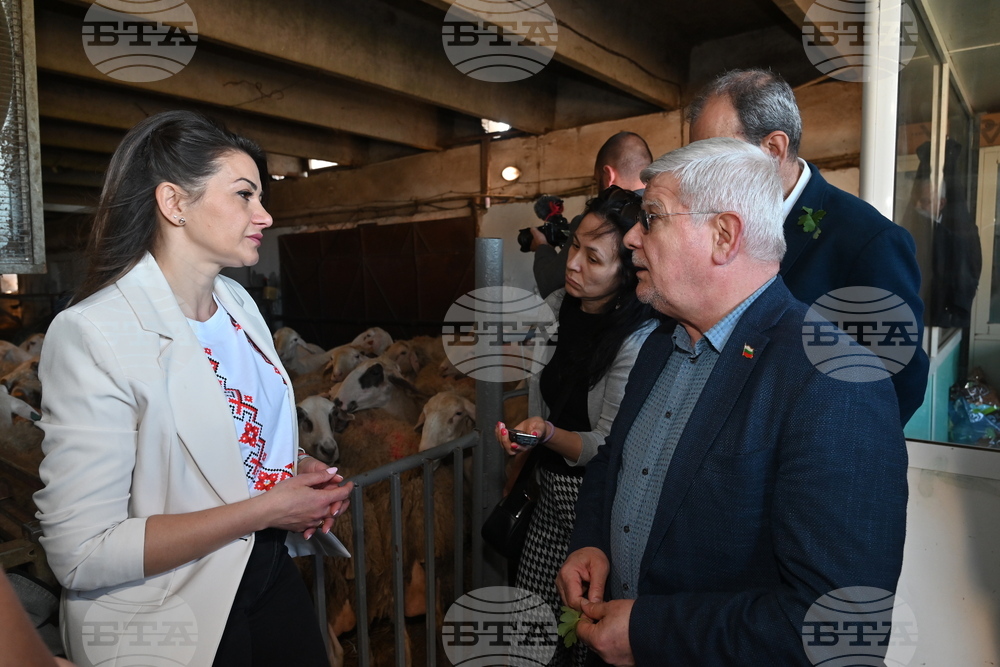 Село Петърница - Кирил Вътев - Владимир Боля - овцеферма - посещение