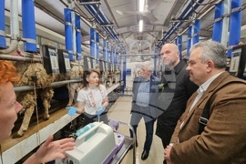 Село Петърница - Кирил Вътев - Владимир Боля - овцеферма - посещение