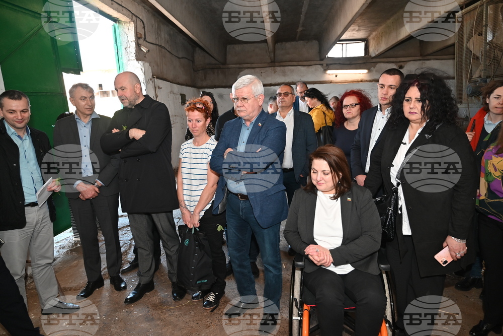 Село Петърница - Кирил Вътев - Владимир Боля - овцеферма - посещение