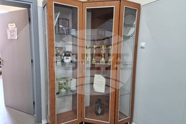 Петрич - гимназия - годишнина