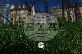 Пролет в София