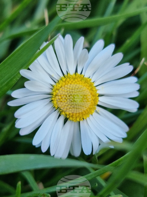 Пролет в София