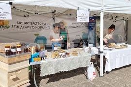 Кърджали - производители - фермерско изложение