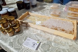 Кърджали - производители - фермерско изложение