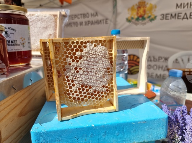  Кърджали - производители - фермерско изложение