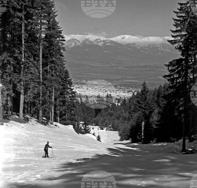 Пирин планина