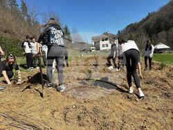 Снимка: Южноцентрално държавно предприятие – Смолян