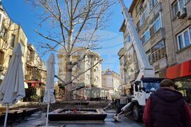 Бургас - санитарна сеч