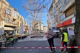 Бургас - санитарна сеч