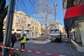 Бургас - санитарна сеч