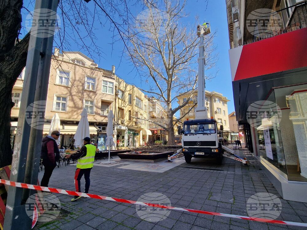 Бургас - санитарна сеч