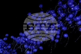 Тържествен концерт - „20 години България в НАТО“