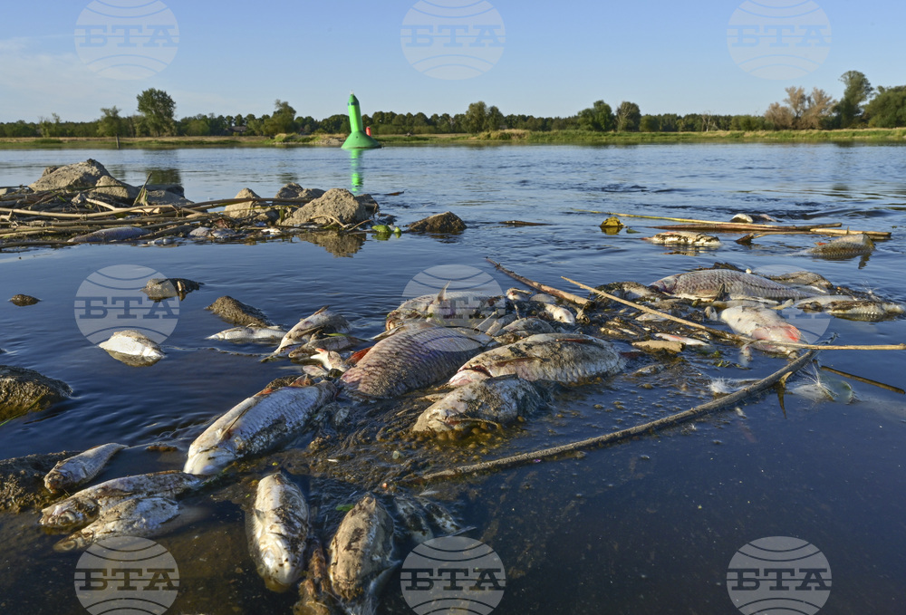 В пробите от водата на река Одер не е открит живак, заяви полската министърка на околната среда