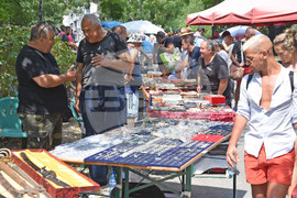 Варна - Национално антикварно изложение