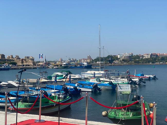 Агенцията по рибарство и аквакултури засилва проверките във вътрешните водоеми, по река Дунав и Черно море