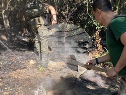 Военнослужещи от Сухопътните войски и днес помагат за потушаване на пожара край село Брягово, област Хасково 