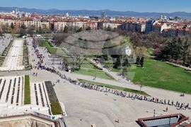 „Гората БГ“ - дръвчета