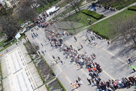 „Гората БГ“ - дръвчета