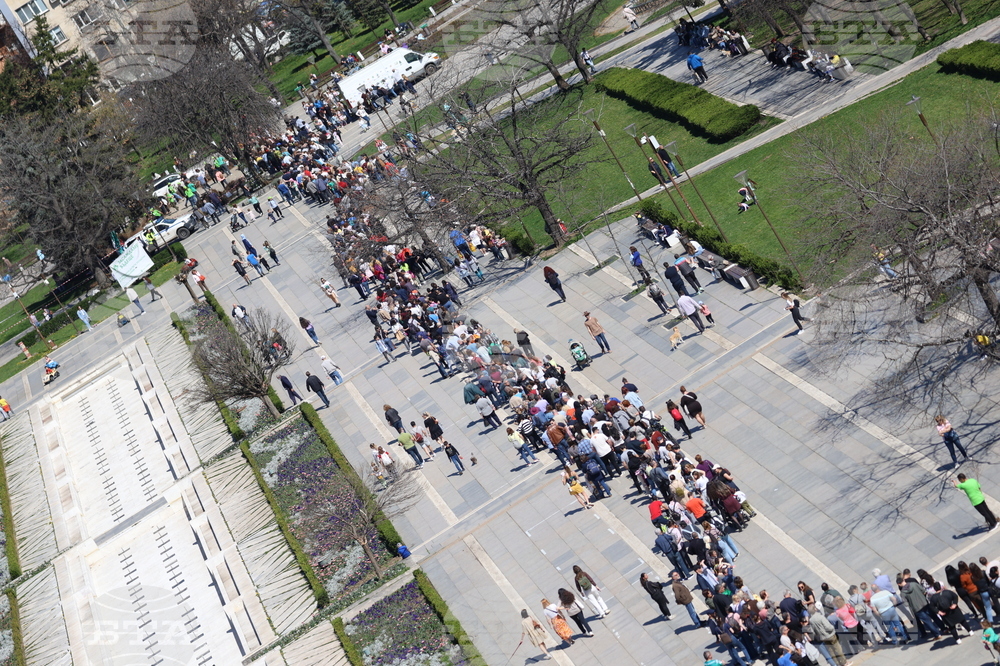 „Гората БГ“ - дръвчета