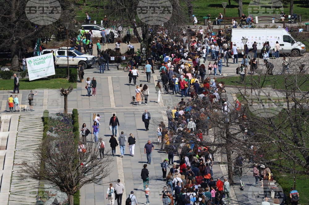 „Гората БГ“ - дръвчета